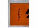 009