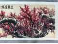 房景州生机盎然