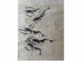 齐白石精品画
